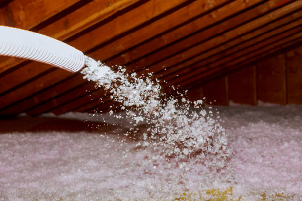 Best Energy Efficiency Solutions in San Marcos, TX